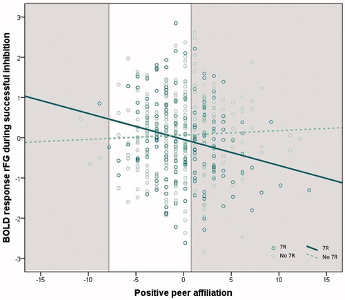 Figure 2. Interaction between DRD4 and positive peer affiliation on the BOLD response in the rFG during successful inhibition (B= –0.07, P = 0.006; normal score [0] = BOLD signal change 8.61). The shaded areas indicate the RoS, lower threshold: X = –7.86; upper threshold: X = 0.93.