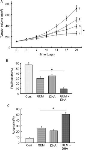 Figure 7. Effects of a nutraceutical compound on PDAC: Artemisinin. A. Effects of dihydroartemisinin (Citation2), gemcitabine (Citation3) and their combination (Citation4) on volume of pancreatic cancer tumors; compared with control (Citation1). BxPC-3 tumors were xenografted in nude mice. Data are presented as means ± standard deviation. The effect of the combination was significantly greater than gemcitabine alone (P < 0.05). B & C. Effects of treatments on status of proliferation (B) and apoptosis (C) determined from tissue sections taken from the induced tumors in (A). Treatments were as follows: gemcitabine (GEM), dihydroartemisinin (DHA) and their combination (GEM + DHA), compared with control (Cont). Data are presented as means ± standard deviation. For both parameters, the effect of the combination was greater than the effect of gemcitabine alone (P < 0.05). From Wang, SJ. et al. (Citation85).