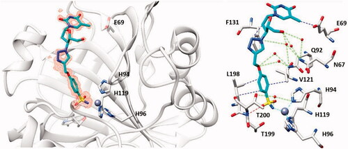 Figure 16. The adduct of hCA II with 39a as determined by X-ray crystallography. Left: hCA II active site, with the zinc ion (gray sphere) and its histidine ligands (His94, 96 and 119) and the inhibitor showed with its electronic density. Right: detailed interactions in which the sulphonamide 39a participates with amino acid residues from the enzyme active site. Red spheres are water molecules, dashed lines represent hydrogen bonds. Residues involved in the binding are evidenced.