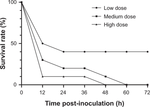 Figure 4 Percentage survival of mice infected with different inoculations of S. aureus (CCVCC2248). Inoculations: low dose: 3 × 109 cfu/mL; medium dose: 6 × 109 cfu/mL; high dose: 12 × 109 cfu/mL.