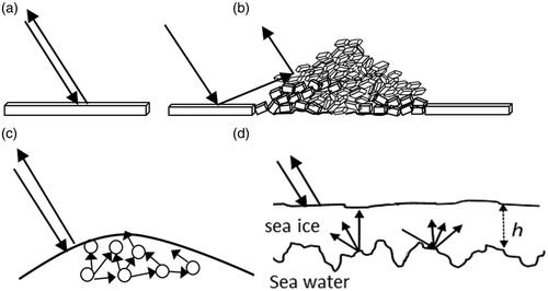 Figure 2. Radar backscatter mechanisms from a few sea ice features. (a) single-bounce scattering from leveled ice, (b) double-bounce scattering from ridged ice, (c) multiple-bounce scattering from air bubbles in multi-year ice hummock surface, and (d) another multiple-bounce off the dendritic ice-water interface of very thin snow-free ice layer. h is the thin ice thickness.