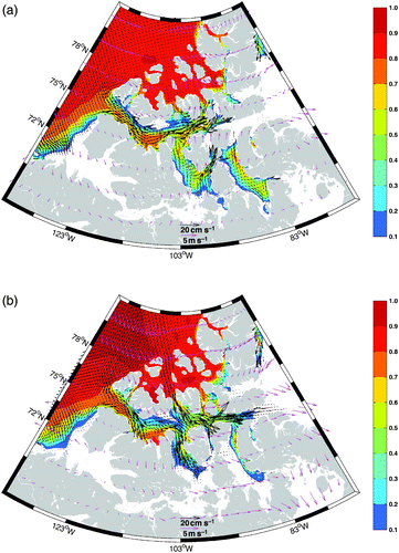 Fig. 11 (a) The CAA control experiment ice concentration (color contours) and ice motion vectors (black arrows) and wind vectors (magenta arrows) in (a) August and (b) September.