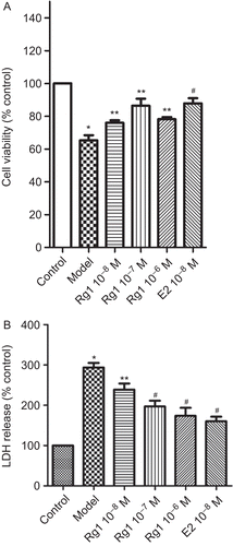 Figure 2.  Ginsenoside Rg1 inhibits Aβ25–35-induced neurotoxicity of primary cultured neuronal cells. Primary cultured neuronal cells were treated with E2, various concentrations of ginsenoside Rg1 and Aβ25–35 of 5 μM for 3 days. (A) Cell viability and (B) LDH release. Data represent means ± SD, n = 3. *P < 0.01 versus the control group, **P < 0.05 versus the model group, and #P < 0.01 versus the model group.