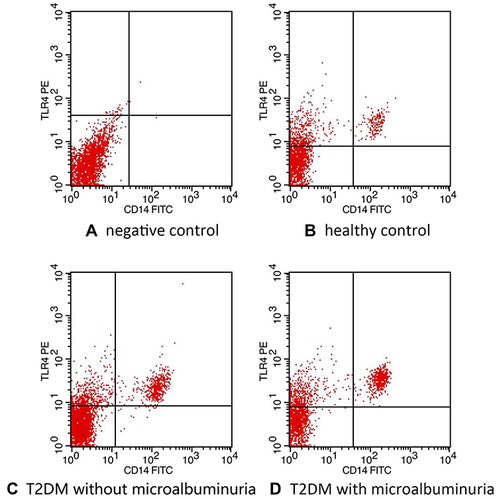 Figure 1 TLR4 expression in peripheral blood mononuclear cells (PBMCs) (A) negative control, (B) control, (C) T2DM, and (D) T2DM+microalbuminuria groups. The percentage of double-positive cells stained with antibodies against CD14 and TLR4 was assessed by flow cytometry. The blank control was a tube without fluorescent antibodies.