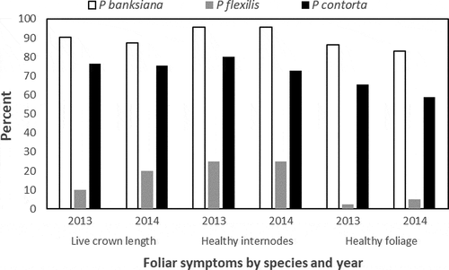 Fig. 2 Severity of Dothistroma infection by species and year at Smoky Lake, Alberta by observation year