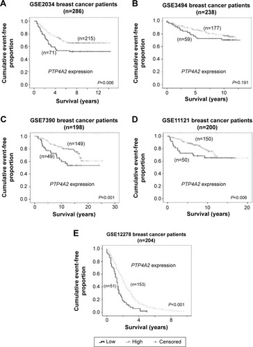 Figure 1 The association between PTP4A2 expression and patient survival.