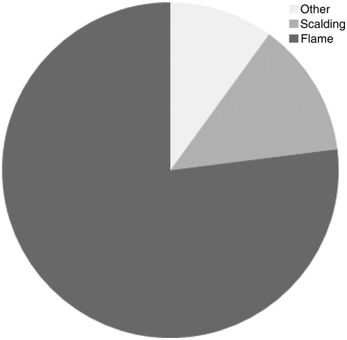 Figure 1. Percentages of burn types.