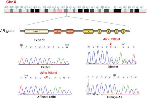 Figure 4 Sanger sequencing results.