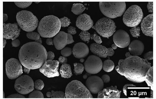 Figure 2. SEM image of the as-received powder.