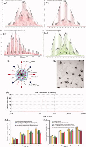 Figure 1. The characterisations of targeting molecular materials and dual-targeted artemether plus paclitaxel micelles. (A) The MALDI-TOF-MS spectra of COOH-PEG2000-DSPE (A1) and BK-PEG-DSPE (A2); (B) The MALDI-TOF-MS spectra of TPGS1000 (B1), COOH-TPGS1000 and MAN-TPGS1000 (B2); (C) The schematic diagram of dual-targeted artemether plus paclitaxel micelle; (D) TEM images; (E) Size distribution; (F) The in vitro release rates of artemether (F1) and paclitaxel (F2) from micelles in the simulated body fluids. Data are presented as mean ± standard deviation (n = 3).