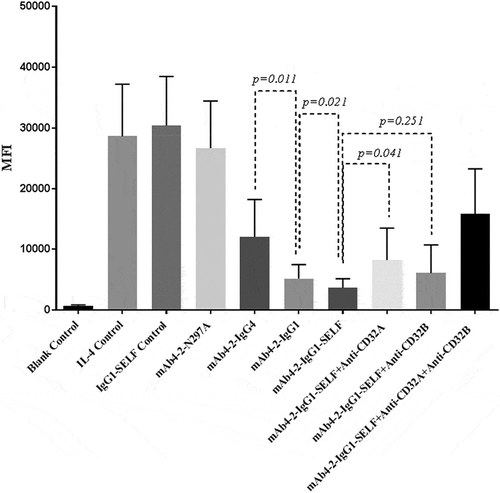 Figure 5. CD32A, together with CD32B, plays a key role in modulating antibody-mediated suppression of CD23 expression on monocytes in response to IL-4Rα blockade. Monocytes were isolated from six donor’s PBMCs. The level of CD23 expression from the blood monocytes treated with a variety of reagents in the presence of IL-4 was accessed by FACS. IL-4 control: cells treated with IL-4 in the absence of antibodies; IgG1-SELF control: an irrelevant IgG1 mAb with the SELF mutation; mAb4-2-N297A: an aglycosylation form of mAb4-2, owing to the point mutation of N297; mAb4-2-IgG4: the IgG4 mAb4-2; mAb4-2-IgG1: the IgG1 mAb4-2; mAb4-2-IgG1-SELF: the IgG1 mAb4-2 with the SELF mutation; mAb4-2-IgG1-SELF+Anti-CD32A: monocytes were treated with mAb4-2-IgG1-SELF and anti-CD32A antibody simultaneously; mAb4-2-IgG1-SELF+Anti-CD32B: monocytes were treated with mAb4-2-IgG1-SELF and anti-CD32B antibody simultaneously; mAb4-2-IgG1-SELF+Anti-CD32A+Anti-CD32B: three antibodies, mAb4-2-IgG1-SELF, anti-CD32A, and anti-CD32B were added to monocyte samples simultaneously.