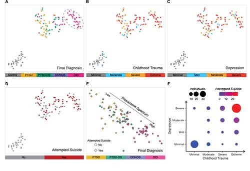 Figure 2. Unsupervised learning reveals patient sub-clusters and spectrum of dissociative symptoms. (A) Two-dimensional t-SNE embedding of summary psychometrics on arbitrary X and Y axes, annotated with diagnosis labels, shows patient heterogeneity patterns with a distinct ‘DID cluster’ of 26 individuals (circled). (B and C) Embedding annotated with CTQ and BDI-II severity respectively, shows the ‘DID cluster’ has a high rate of extreme trauma and severe depression. (D) Annotation of individuals who attempted suicide where we found past suicide attempt was more prevalent in the ‘DID cluster.’ (E) DAWN 2D embedding of only the patients on arbitrary X and Y axes demonstrated the presence of a spectrum of dissociative symptoms with clustering of individuals who attempted suicide. (F) Bubble plot showing the relationship between childhood trauma and depression severity and prevalence of individuals who attempted suicide. t-SNE, t-Distributed stochastic neighbour embedding; CTQ, Childhood Trauma Questionnaire, BDI-II, Beck Depression Inventory-II, DAWN 2D, Denoising Autoencoder with Neuronal Approximator.