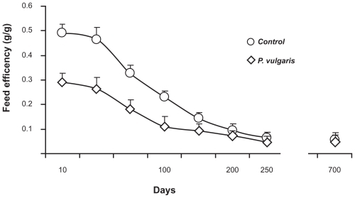 Figure 1 Reducing effect of the prolonged (700 consecutive days) ingestion of a Phaseolus vulgaris preparation, mixed in a starch-enriched diet, on feed efficiency [defined as the body weight gain (g) over the amount (g) of food intake] in Hooded Lister rats. Adapted from Grant G, Dorward PM, Buchan WC, Armour JC, Pusztai A. Consumption of diets containing raw soya beans (Glycine max), kidney beans (Phaseolus vulgaris), cowpeas (Vigna unguiculata) or lupin seeds (Lupinus angustifolius) by rats for up to 700 days: effects on body composition and organ weights. Br J Nutr. 1995;73:17–29.Citation7 Copyright © 1995 with permission of Cambridge University Press.