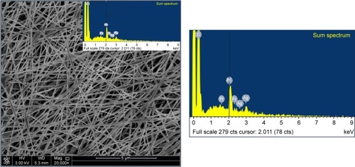 Figure 1 SEM image of fabricated electrospun mat.Notes: SEM image at 20,000× of electrospun nanofibers of PVA/chitosan/AgNPs blends of 12 wt%/0.6 wt%/0.9 wt%, respectively, using the following electrospinning conditions of 10 cm, 18 kV, and 0.3 mL/h. The EDS was collected on the PVA/chitosan/AgNPs.Abbreviations: SEM, scanning electron microscopy; PVA, poly(vinyl alcohol); AgNPs, silver nanoparticles; EDS, energy dispersive spectrum; wt, weight; HV, high voltage; Mag, magnification; WD, working distance.
