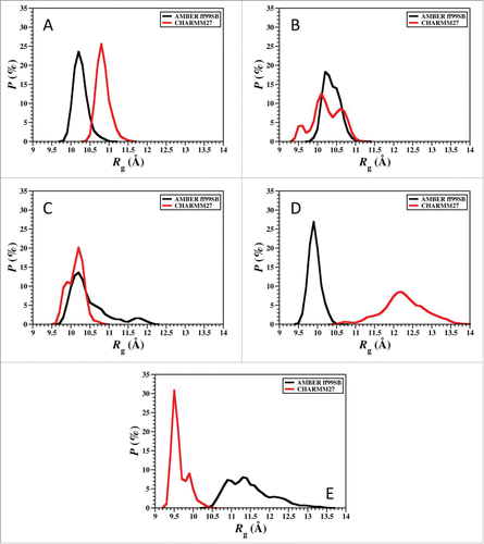 Figure 6. Radius of gyration values using AMBER FF99SB and CHARMM22/CMAP parameters in an implicit model of water. (A) Cluster 1, (B) Cluster 2, (C) Cluster 3, (D) Cluster 4, (E) Cluster 5.