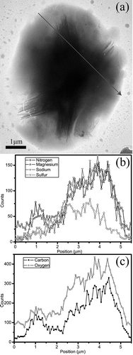 Figure 5. TEM image (a) and STEM/EDX elemental profiles (b and c) along a preset line (arrow) of a roughly spherical Na-rich particle of the second composition collected on a Cu grid and coated with Si-O film. The Na-rich particle has two parts: Na-S core and Na-rich shell.