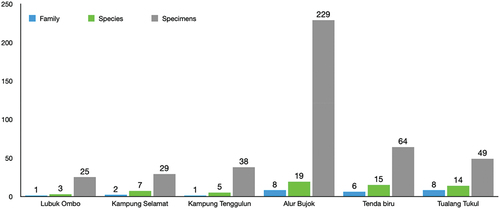 Figure 6. Distribution of families, species and specimens according to sampling stations.