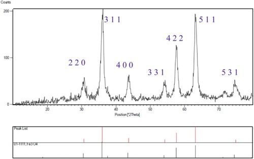 Figure 3. XRD patterns of modified Fe3O4 NPs.