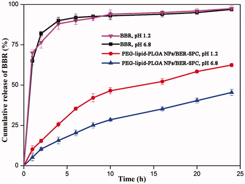 Figure 4. In vitro time-dependent drug release profiles of BBR and PEG–lipid–PLGA NPs/BBR–SPC in (A) SGF and (B) SIF.