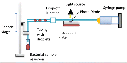 Figure 1A. A schematic of the designed microfluidic instrument. Flow through the tubing is generated using the syringe pump. The robotic stage moves into the bacteria sample to develop droplets. To measure the optical density a photodiode was embedded into a the incubation plate.