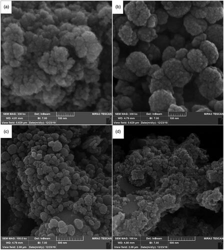 Figure 4. The SEM images of the Ca10(PO4)6(OH)2/Li-BioMOFs nanostructures prepared via hydrothermal method in condition of 150, 180 and 200 °C at 4 h (a–c) and SEM image of sample with co-precipitation method (d).