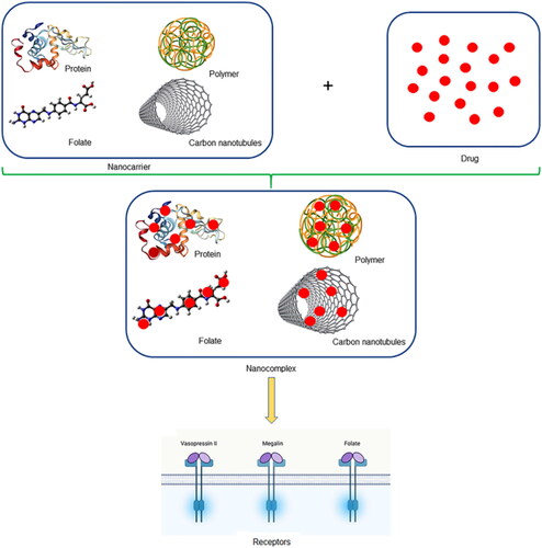 Figure 3. Schematic illustration of nanoparticles (Merlin and Li, Citation2021).