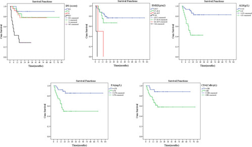 Figure 1 The univariate survival function diagram of IPI, BMI, ALB, PA, and CD4 by the Kaplan–Meier method.