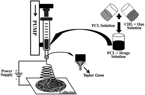 Figure 1. Graphic demonstration of steps involved in the electrospun nanofiber mat production.