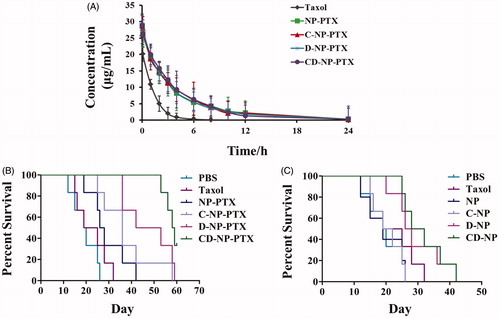 Figure 6. (A) Pharmacokinetic study of different PTX formulations in vivo. (B) Kaplane Meier survival curve of mice bearing glioma treated with PBS, Taxol®, NP-PTX and C-NP-PTX, D-NP-PTX, and CD-NP-PTX, respectively at PTX dose of 5 mg/kg (n = 6). (C) Evaluation of immunotherapy effect of DPPA-1 peptide by investigating the survival time of glioma-bearing mice post treat with different nanoparticles (n = 6).