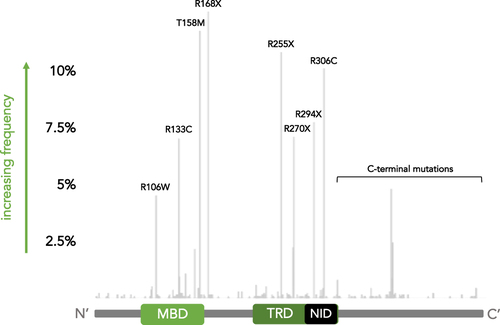 Figure 3 Common MECP2 mutations in Rett syndrome. Frequency map of MECP2 mutations identified in girls with RTT from the NIH Natural History Study of Rett Syndrome and Related Disorders. Mutation frequency is depicted on the y-axis while the start of the mutation along the protein sequence is indicated on the x-axis. A schematic of the MeCP2 protein domains is provided for reference. The 8 common point mutations and set of C-terminal mutations are indicated.