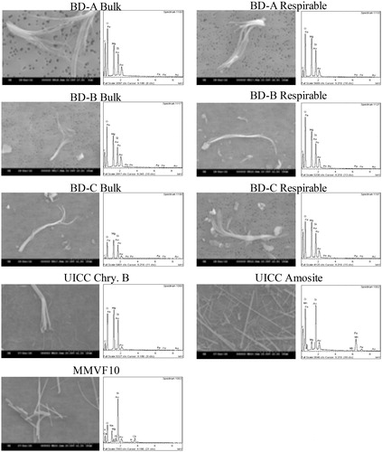 Figure 1. Representative SEM micrograph and EDX spectrum of pristine samples, including three bulk break debris (BD) samples, three respirable BD samples, UICC chrysotile B asbestos, amosite asbestos, and MMVF10.