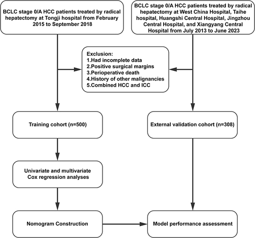 Figure 1 Flowchart showing the patient selection process, construction, and external validation of the nomogram.