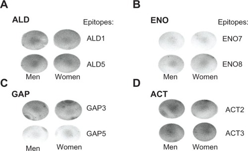 Figure 3 Representative experiment showing dot blots of individual 15-mer peptide epitopes.