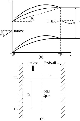 Figure 1. Schematic of baseline cascade: (a) blade-to-blade view; (b) side view. LE = leading edge; TE = trailing edge.