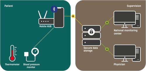 Figure 1 Schematic depiction of methodology.