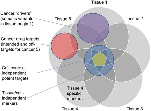 Figure 1. Schematic illustration of overlaps between cancer-related gene sets. There are both target-based and non-target-based features that can be predictive of specific drug efficacies in various cancer types. The cancer genes and protein targets should be studies separately for each tissue type (e.g. breast cancer) and inhibitor class (e.g. HER2 inhibitors). Selective efficacies are preferred in the repurposing predictions, as tissue of origin-independent targets may lead to toxic side effects