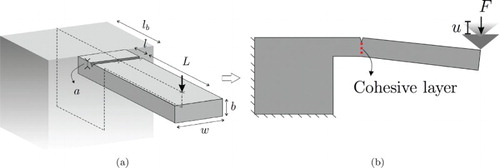 Figure 1. (a) Experimental setup and dimensions. (b) Simplified 2D model using the plane strain assumption and linear isotropic elastic material.