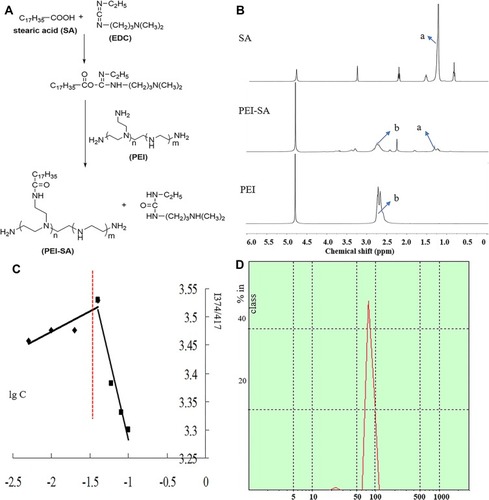 Figure 1 Synthesis and characterization of PEI-SA complexes. (A) Scheme of EDC-mediated coupling reaction between PEI and SA. (B) 1H NMR spectra of SA, PEI and PEI-SA. (C) Change of fluorescence intensity ratio (I374/I417) for pyrene in distilled water in the presence of PEI-SA with 15.5% substitute degrees of amino group. (D) The size distribution of PEI-SA.