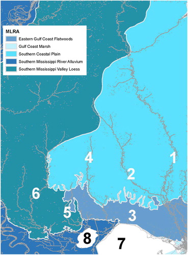 Figure 1. Map of study area showing the (1) Pearl River, (2) Bogue Chitto River, (3) Tchefuncte River, (4) Tangipahoa River, (5) Tickfaw River, (6) Amite River, (7) Lake Pontchartrain and (8) Lake Maurepas. Light gray lines show United States Department of Agriculture Major Land Use Resource Area boundaries.