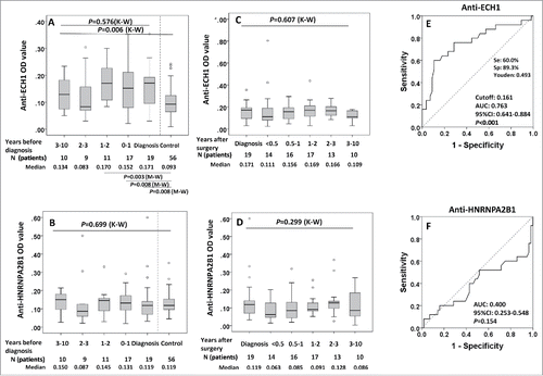 Figure 5. Serial serum analysis of anti-ECH1 and anti-HNRNPA2B1 levels in discovery set 1 study groups. 5A and 5B: Longitudinal analysis of serum anti-ECH1 and anti-HNRNPA2B1 in LC patients at diagnosis and before diagnosis follow-up. Data are presented in quantile box plots. 5C and 5D: Longitudinal analysis of serum anti-ECH1 and anti-HNRNPA2B1 in LC patients at diagnosis, after diagnosis and surgery treatment follow-up. When there was more than one sample in a calendar year in a LC patient, we plotted the average OD for that year. 5E and 5 F: ROC curve of LC patients (n = 28) versus controls (n = 56) for autoantibody to ECH1 (5E) and HNRNPA2B1 (5F). For the patients with serial serum samples before diagnosis, the OD value form the serum samples with collection date closest to diagnosis was used for generating ROC. K–W: Kruscal–Wallis test for multiple groups; M–W: Mann–Whitney test for two groups.