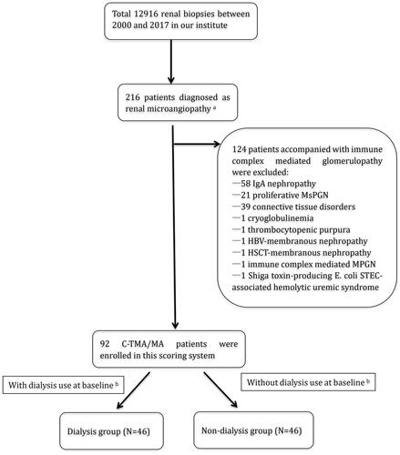 Figure 1. Patient recruitment chart in the C-TMA cohort. aPatients fulfilling at least one of the following pathological criteria were diagnosed as renal TMA: (1) artery/arteriole thrombi formation; (2) glomerular thrombi formation; (3) Onion skin change of artery/arteriole; (4) Myxoid change of artery/arteriole; (5) glomerular subendothelial edema on electron microscopy. bPatients were grouped by dialysis use at baseline. Abbreviations: MsPGN: Mesangial proliferative glomerulonephritis; MPGN: Membranoproliferative glomerulonephritis.