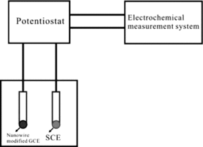Figure 1. Schematic of the electrochemical working station.