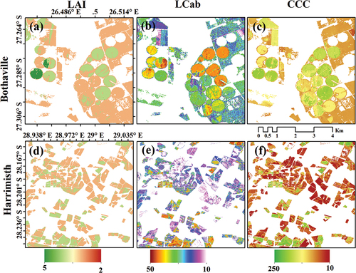 Figure 6. Spatial distribution of crop biophysical and biochemical variables for Bothaville (a–c) and Harrismith (d–f). The LAI and CCC maps in (a) and (c) were achieved with SB + Angles, while LCab in (b) and (e) SVIs + Angles. Avar was used to map CCC in (f).