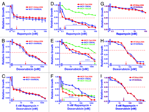 Figure 3. Sensitivity of NGAL- and pLXSN-infected cells and doxorubicin-resistant MCF-7/DoxR cells to the mTORC1 inhibitor rapamycin, doxorubicin and the combination of doxorubicin and a constant dose of 5 nM rapamycin. Cells were collected and seeded (2,000 cells/well) in 96-well plates. The following day, serial 2-fold dilutions of rapamycin (A, D and G), doxorubicin (B, E and H) or serial 2-fold dilutions of doxorubicin and a constant dose of 5 nM rapamycin (C, F and I) were added to the wells. Four days later, MTT assays were performed. (A–C) MCF-10A/pLXSN (solid squares), MCF-10A/NGAL (solid upright triangles), (D–F) MCF-7/pLXSN (solid squares), MCF-7/NGAL (solid upright triangles) and 25 nM doxorubicin-selected MCF-7/DoxR cells (solid downward triangles), (G–I) HT-29/pLXSN (solid squares), HT-29/NGAL (solid upward triangles). A hatched horizontal line is present at the 50% relative growth mark from which the IC50 can be calculated. A vertical arrow indicates the IC50. The statistical significance was determined by the unpaired t-test (***, p < 0.001). All the experiments in this figure were performed at the same time (set up on the same day). These experiments were repeated multiple times and similar results were obtained.