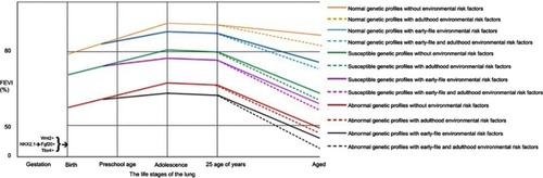 Figure 3 The plausible trajectories to lung function by varied risk factors in different life stages of the lung.