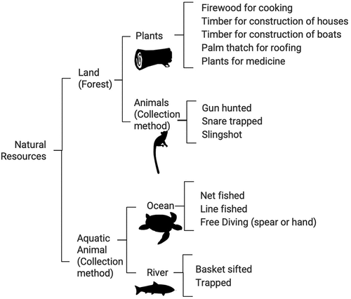 Figure 2. Classification of natural resources by location.