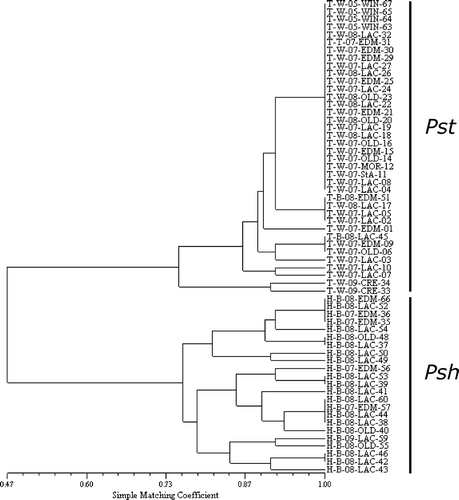 Fig. 2. Hierarchical classification of 61 Puccinia striiformis isolates collected from central AB, Creston, BC and Winnipeg, MB during 2007–2009 based on virulence on wheat and barley cultivars/genotypes.
