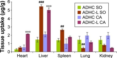 Figure 5 Plots of ADHC biodistribution in rats 20 minutes after intravenous administration of free ADHC or ADHC-L at a dose of 3 mg ADHC/kg.Notes: Given values are mean ± SD (n=4). ***P<0.001 versus ADHC CA treatment. ##P<0.01, ###P<0.001 versus ADHC SO treatment.Abbreviations: ADHC, amiodarone hydrochloride; ADHC-L, amiodarone hydrochloride-loaded liposome; CA, cardiac radiofrequency ablation; SO, sham-operated.