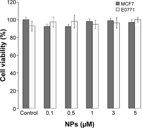 Figure 2 In vitro cytotoxicity of PBCA NPs in MCF-7 and E0771 cell lines.Notes: Growth of MCF-7 and E0771 cells was evaluated after 48 h of exposure to a wide range of PBCA NP concentrations (0.1–5.0 μM). Data represented as the mean value ± SD of quadruplicate cultures.Abbreviations: PBCA NPs, poly(butylcyanoacrylate) nanoparticles; SD, standard deviation; h, hours; NPs, nanoparticles.