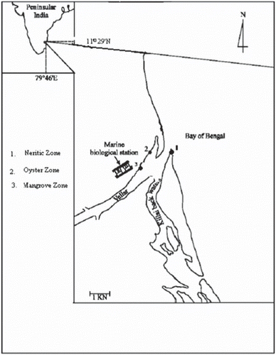 Figure 1. Location of the sampling sites along the Vellar estuary.